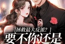 求助这本拯救最大反派?要不你还是鲨了我吧小说在哪里可以看完结版-火箭文学