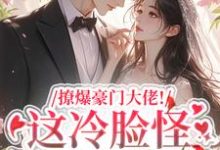 完结版撩爆豪门大佬！这冷脸怪居然很纯情在哪免费看，云漾裴今墨小说在线阅读-火箭文学
