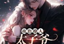夜色撩人，太子爷为她乱了心热门小说(楚璃徐砚周)在线阅读无弹窗-火箭文学
