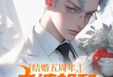 结婚五周年，老婆却和白月光狂欢大结局，苏尘顾轻雪小说无广告阅读-火箭文学