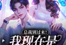 总裁别过来!我现在是事业上升期免费阅读,陆绾绾沈俞瑾大结局无弹窗-火箭文学