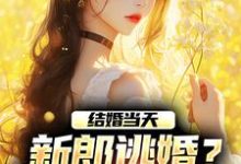 商悠悠霍元琛在线阅读，结婚当天，新郎逃婚？我当场改嫁！小说完结版章节-火箭文学