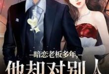 暗恋老板多年，他却对别人温柔相待热门小说(顾楠裴颂忱)在线阅读无弹窗-火箭文学