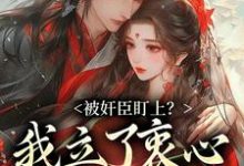 求助这本被奸臣盯上？我立了衷心小弟人设！小说在哪里可以看完结版-火箭文学