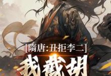李渊吴缺小说的结局在哪可以看，隋唐：丑拒李二，我截胡众枭雄免费阅读完结版-火箭文学