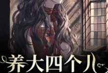 主人公是黄晚晴宋长武的小说养大四个儿，八个孙，凄惨离世后免费阅读-火箭文学