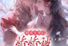 跪求主角是叶青芜裴玉珩的小说书名叫什么-火箭文学