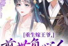 重生嫁王爷，前世负心人竟是我？免费阅读(沈挽谢景御)小说免费读最新章节-火箭文学