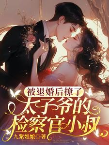 求助这本被退婚后撩了太子爷的检察官小叔小说在哪里可以看完结版