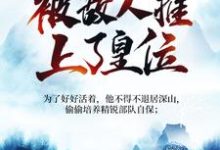 被追杀的我，被敌人推上了皇位完结版夏天司马兰免费阅读大结局-火箭文学