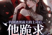 钓到渣男前夫的上司后,他跪求放过小说资源求分享,钓到渣男前夫的上司后,他跪求放过苏锦萧云锋在线阅读-火箭文学