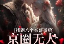 找到八个亲哥哥后,京圈无人敢惹她免费阅读,叶小汐叶以辰大结局无弹窗-火箭文学