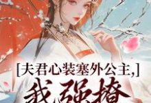 叶锦意萧凛渊小说免费阅读最新章节列表,夫君心装塞外公主,我强撩也能到手小说在线看-火箭文学