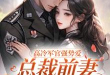 杨念念陆文彬在线阅读，高冷军官强势爱，总裁前妻立马改嫁小说完结版章节-火箭文学