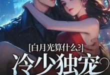 小说白月光算什么？冷少独宠拍卖师！（宋词慕景川）最新章节在哪看-火箭文学