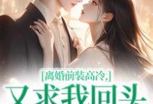 小说离婚前装高冷，又求我回头做什么（苏念封承烬）最新章节在哪看-火箭文学