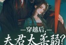 穿越后，夫君太柔弱？我来夺江山精彩章节在线免费阅读（沈微萧御衡）-火箭文学