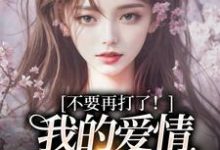 不要再打了！我的爱情我自己选热门小说(苏暖裴撤)在线阅读无弹窗-火箭文学