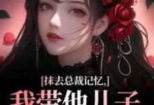 主人公是裴景澈梨尤笙的小说抹去总裁记忆，我带他儿子回苗寨免费阅读-火箭文学