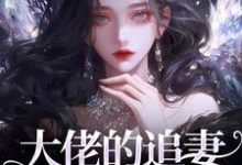 主角是姜沁笙纪怀舟的小说大佬的追妻火葬场：晚了，姐不稀罕在哪免费看-火箭文学