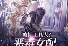 (全文)被标工具人？恶毒女配甩男主求自由热门小说排行榜，被标工具人？恶毒女配甩男主求自由宋以宁陆明聿全章小说阅读-火箭文学