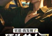 (全文)官道：我发现了顶头女上司的秘密（徐青胡丽娜）全本书籍阅读官道：我发现了顶头女上司的秘密免费小说全本-火箭文学