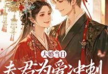 大婚当日,夫君为爱冲刺救白月光林菀堂萧睿川免费小说大婚当日,夫君为爱冲刺救白月光推荐完结小说-火箭文学