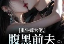 重生嫁大佬，腹黑前夫追妻火葬场林疏桐贺霆屿完结小说推荐，重生嫁大佬，腹黑前夫追妻火葬场全章小说阅读-火箭文学