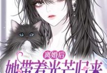 (全文)离婚后她带着光芒归来，总裁悔断肠免费小说全本，江念慕南辞试读更新章节-火箭文学