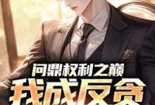 问鼎权利之巅，我成反贪第一人林东凡沈君兰完结小说推荐问鼎权利之巅，我成反贪第一人全本书籍阅读-火箭文学
