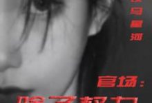 (全文)官场：除了权力还有啥(丁俊丰贺征)全本免费在线阅读-火箭文学