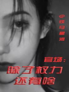 (全文)官场：除了权力还有啥热门小说排行榜，官场：除了权力还有啥丁俊丰贺征全章小说阅读