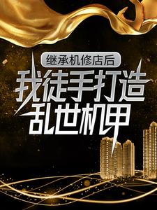 继承机修店后，我徒手打造乱世机甲（苏白苏南天）小说推荐继承机修店后，我徒手打造乱世机甲全章小说阅读