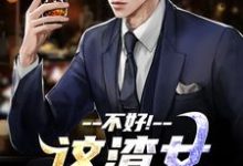 这渣女要虐死了热门小说排行榜这渣女要虐死了顾迟云云晚晚免费小说全本-火箭文学