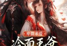 (全文)卑微求爱:冷面王爷只为她轻哄苏如卿赫连渊最新完结小说卑微求爱:冷面王爷只为她轻哄免费小说全本-火箭文学
