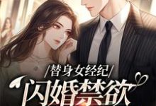 (全文)替身女经纪，闪婚禁欲大佬虐渣男黎湘霍斯然全本免费在线阅读-火箭文学