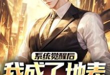 (全文)系统觉醒后，我成了地表最强龙傲天（江南）全本书籍阅读系统觉醒后，我成了地表最强龙傲天免费小说全本-火箭文学