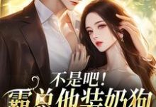 不是吧！霸总他装奶狗诱我上钩热门小说排行榜不是吧！霸总他装奶狗诱我上钩沈清黎陆景言免费小说全本-火箭文学