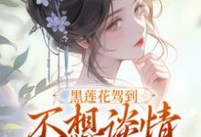 (全文)黑莲花驾到,不想谈情只想晋升热门小说排行榜,黑莲花驾到,不想谈情只想晋升宁司寒林妩全章小说阅读-火箭文学