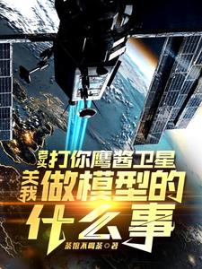 (全文)老头打你鹰酱卫星，关我做模型的什么事完结小说推荐秦阳全本书籍阅读