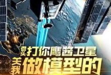 老头打你鹰酱卫星，关我做模型的什么事推荐完结小说老头打你鹰酱卫星，关我做模型的什么事(秦阳)免费小说全本-火箭文学