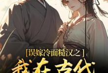 误嫁冷面糙汉之我在古代当小媳妇推荐完结小说误嫁冷面糙汉之我在古代当小媳妇(苏琴岑殷闵)免费小说全本-火箭文学