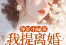 你爱小绿茶，我提离婚你急什么完整版小说，你爱小绿茶，我提离婚你急什么陆应淮苏晴好全章小说阅读-火箭文学