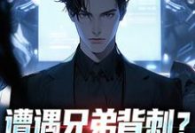 (全文)遭遇兄弟背刺？我直接去偷家（秦东骆小蝶）全本书籍阅读遭遇兄弟背刺？我直接去偷家免费小说全本-火箭文学