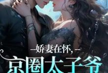 娇妻在怀，京圈太子爷低头诱宠苏渝穆寒昭热门小说排行榜娇妻在怀，京圈太子爷低头诱宠免费小说-火箭文学