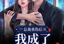 总裁重伤后，我成了他的小娇妻林之渝陈沐深完结小说推荐，总裁重伤后，我成了他的小娇妻全章小说阅读-火箭文学