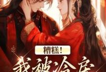 (全文)糟糕!我被冷戾帝王缠上了免费小说全本,越婈君宸州试读更新章节-火箭文学
