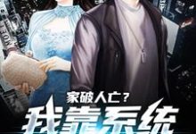 家破人亡?我靠系统儿孙满堂柳若澜许良最新完结小说,家破人亡?我靠系统儿孙满堂全本免费在线阅读-火箭文学