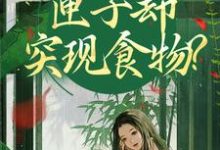 我在古代闹饥荒，匣子却突现食物？（顾南枝沈之念）全章小说阅读-火箭文学