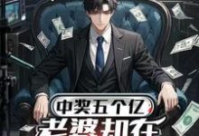 (全文)中奖五个亿，老婆却在领奖前提离婚陈志小说推荐，中奖五个亿，老婆却在领奖前提离婚全章小说阅读-火箭文学